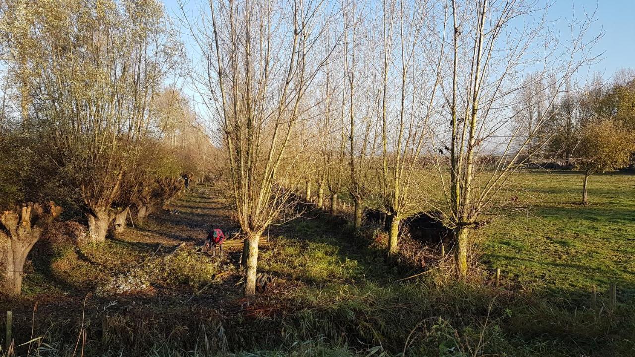 huisje Nieuw Vliet Nieuwvliet Buitenkant foto